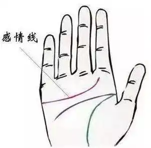 教你一分钟看懂感情线