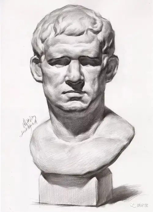 常见石膏素描头像照片结构完整