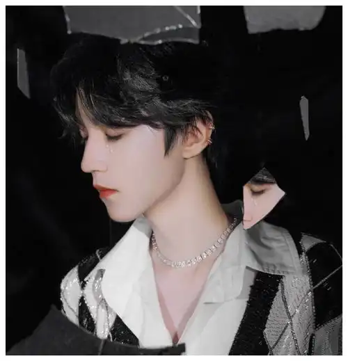 王俊凯好贵一男的,周年演唱会上戴的项链,价值一套房子