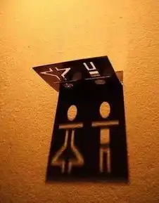 世界各地奇异厕所图标,就看你捉急不捉急