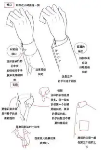 分享一组绘画教程