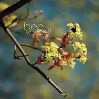 树木葱翠微信头像微信头像图片大全