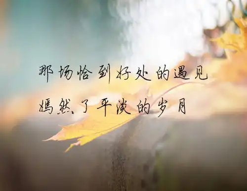 走着走着就散了,致远去的你