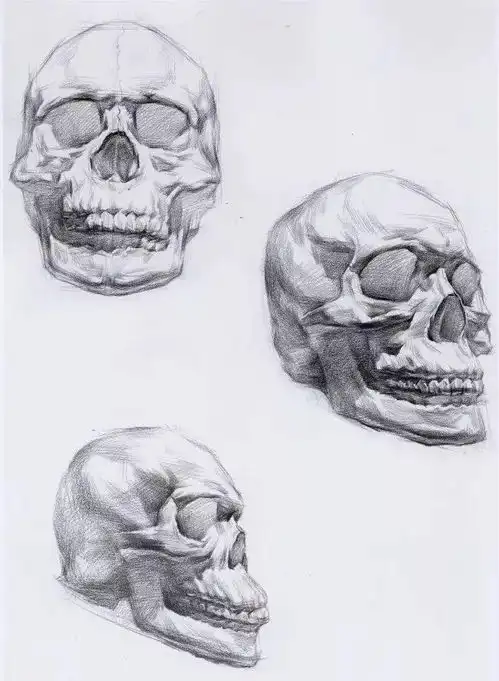 艺考素描基础篇素描头像的结构画法,简单易学