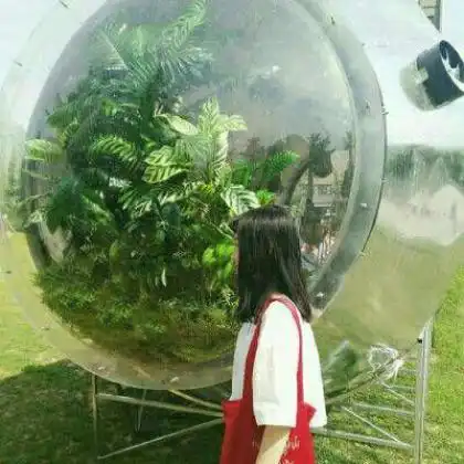 情侣头像背影唯美一对一男一女用我的我的青春年华爱你