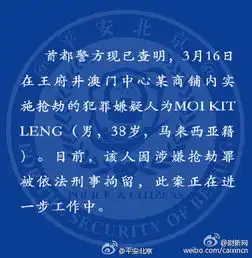警方通报王府井抢劫男子是马来西亚籍