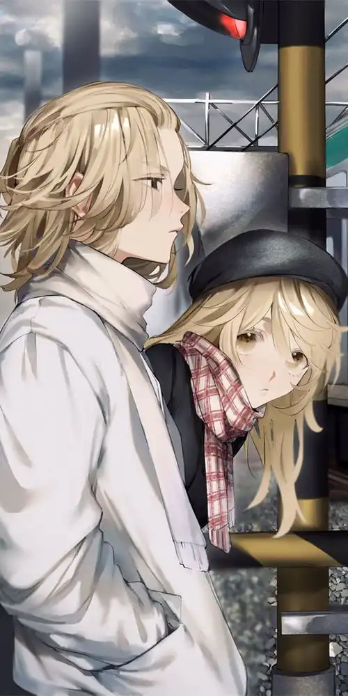 东京复仇者佐野艾玛和佐野万次郎龙宫寺坚,动漫全面屏壁纸