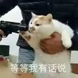 这么好看的偶像狗血剧,我还是第一次见