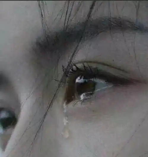 那些委屈像耳光一样抽得我哑口无言