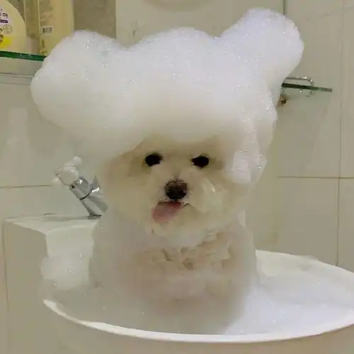 你好,9月6日要及时清醒,也要事事甘心生活