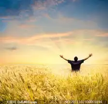 麦田中展开双臂的男人摄影图片