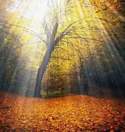 雨后彩虹,太太太美了不看后悔1赶紧看