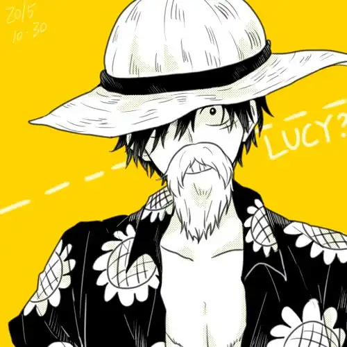 草帽小子蒙奇d路飞同人图