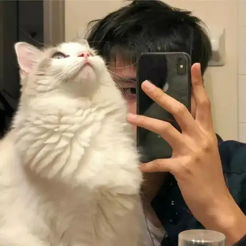 有哪些帅气的男生头像真人和动漫的都好