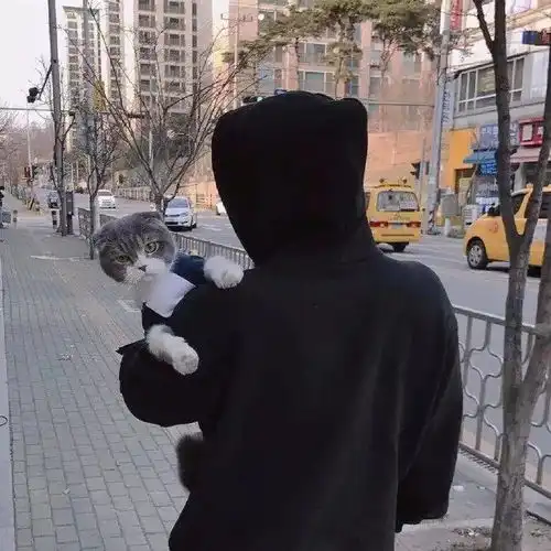 头像保持热爱,奔赴山海