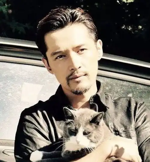 王菲被曝真人秀酬劳,高到离谱明星们的赚的真是小目标