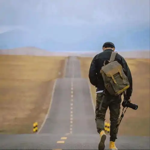 被孤独拉满的头像