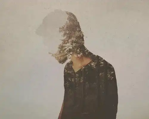 读心术看清的不是别人的内心,而是自己的