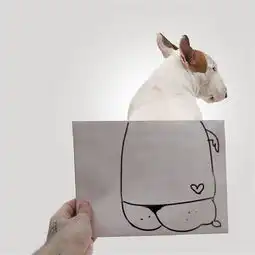 插画家描述离婚男人逗趣画面