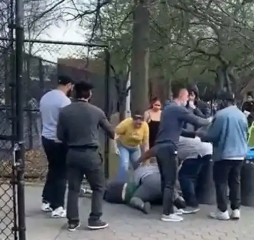 美国网红猫被12岁熊孩子当街弄死,爪子都被扯出,家长还殴打猫主