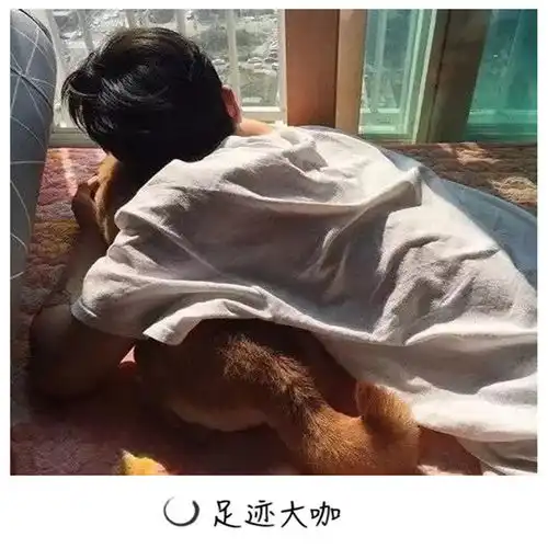 外文舞曲一沐高音质在线试听外文舞曲歌词歌曲下载酷狗音乐