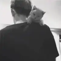 qq头像黑白男生背影一个人背影黑白的男生qq头像