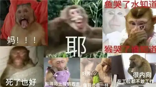 年轻人不想当人把猴子吗喽捧上神坛