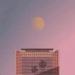 一句话签名每个人都是会绽放凋零的花地方