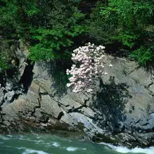 四季风光0049图自然风景图库设计素材库网络设计素材