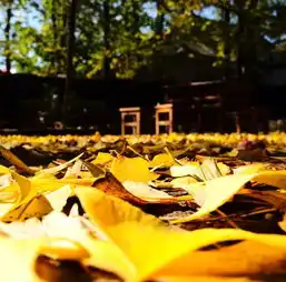 这个季节,去腾冲泡温泉赏满村尽带黄金甲,感受中国最美冬天