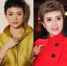 章子怡狗啃发型上热搜,撞脸四五个女星,发文调侃怎么都对