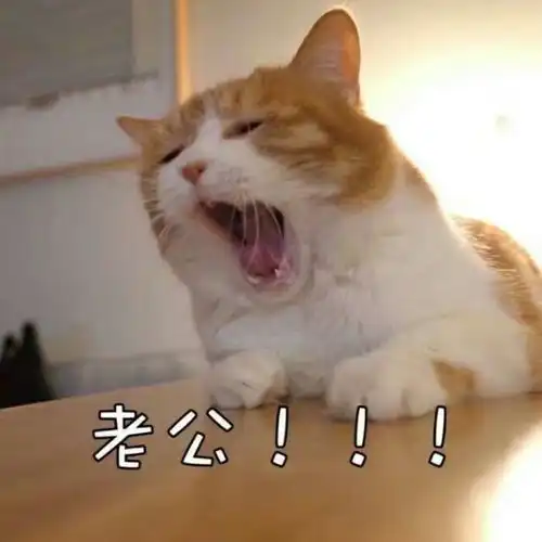 情侣头像丨晚点遇见你,余生都是你