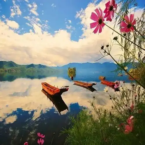 用心,不用心计