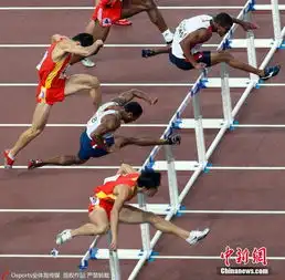 那些年,我们一起追的刘翔