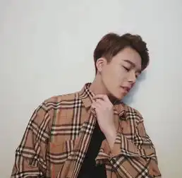 burberry博柏利衬衫彩虹条纹格子经典男女款巴宝莉衬衣长袖