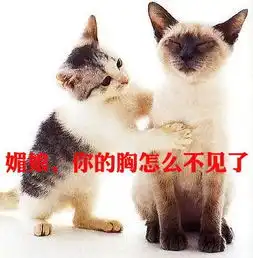 新闻哥懦弱的男人,嫁了也没用