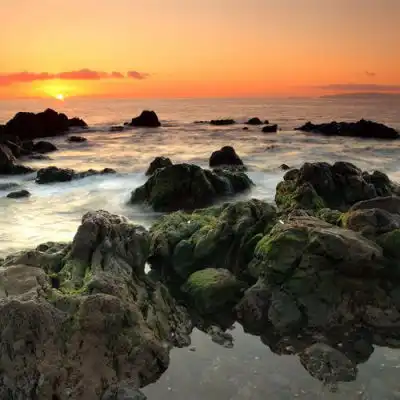 2023时光的落幕风景头像