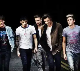 求欧美男团onedirection的这张高清图
