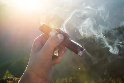 环球黑卡精品男人需要一支雪茄