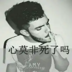 帮忙找一张和这个图片是情侣的图片