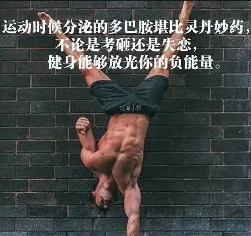 看过这些图片的人,一年后都拥有了好身材