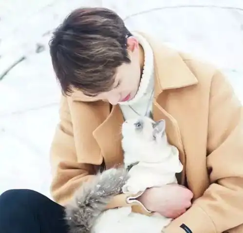 头像以前没喜欢你的时候真好,困了就会睡觉