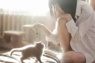 霸气的qq说说大全