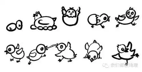 够教师一生受用的简笔画