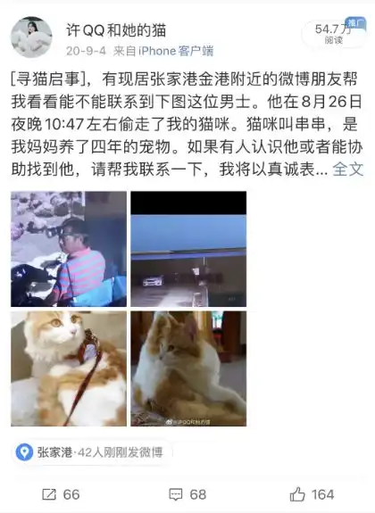 俄罗斯男子因养有一只猫获得轻判,网友我只关心对动物的态度,希望借鉴