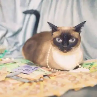 男人女人最招财的微信头像图片会带来好运的微信头像财运