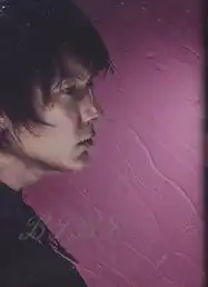 成熟阳光清新集中营像王子一样有名的男性top10