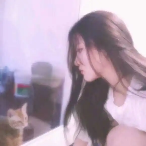 哪些软件有模糊滤镜例如这几张图片的