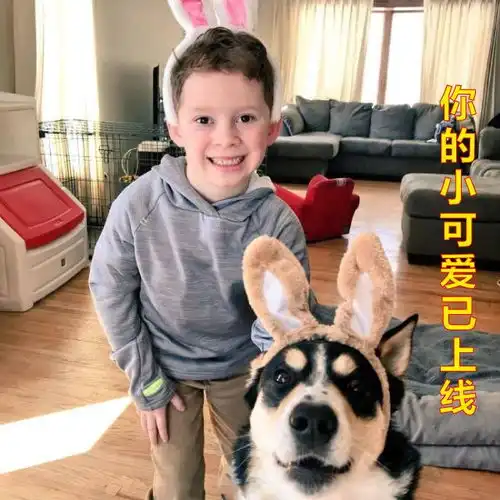 假笑男孩开微博,一天吸粉100万,你关注了没ins晚抱