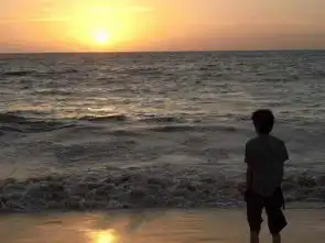 她的幸福,我们都在找寻